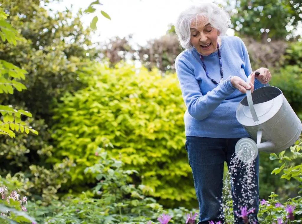 Old Lady Gardening